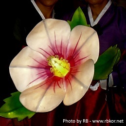 Lighed calenders flower